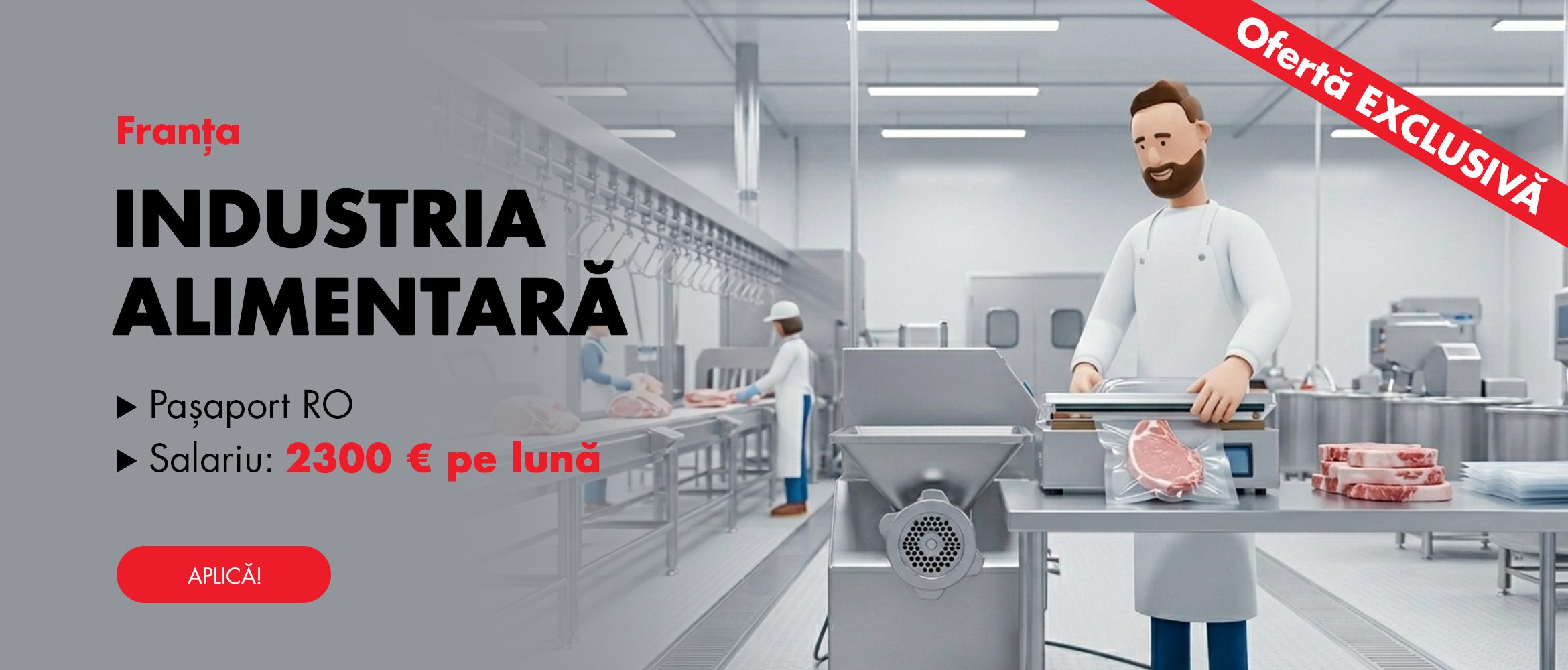 andivajobs-oferta